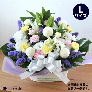 zB     AWg LTCY  E [\N ̃Zbg 낤   AW 蕨   @ l\ @v  m a 