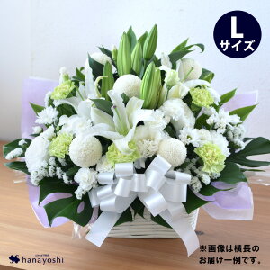 [①] zB     AWg LTCY  E [\N ̃Zbg 낤   AW 蕨   @ l\ @v  m 