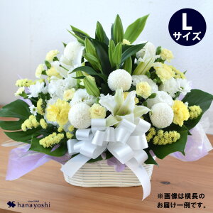 [①] zB 14Y     AWg`LTCY 傫  d  AW  @ l\ @v      m 