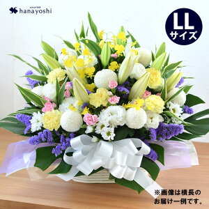 zB 14Y    AWg LLTCY傫   Mtg @       l\ @v  O {   m