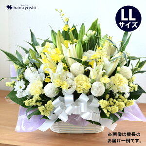 zB 14Y    AWg LLTCY傫   Mtg @       l\ @v  O {   m