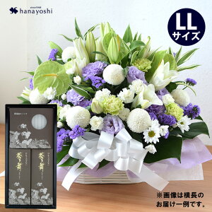 zB     AWg LLTCY E[\ÑZbg  낤  蕨 @     l\ @v  O 