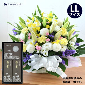 zB     AWg LLTCY E[\ÑZbg  낤  蕨 @     l\ @v  O 