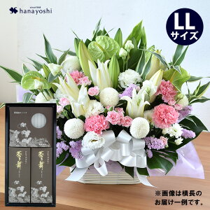 zB     AWg LLTCY E[\ÑZbg  낤  蕨 @     l\ @v  O 