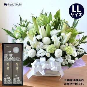 zB     AWg LLTCY E[\ÑZbg  낤  蕨 @     l\ @v  O 