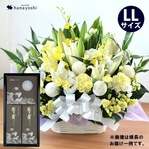 zB     AWg LLTCY E[\ÑZbg  낤  蕨 @     l\ @v  O 