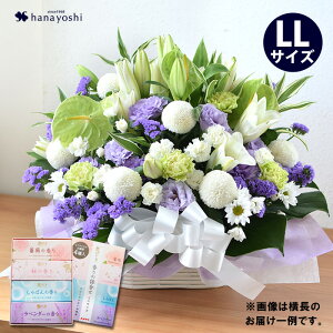 zB     AWg LLTCY4  Ԃ̃Zbg  Zbg   蕨 t[AWg @  d   O