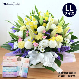 zB     AWg LLTCY4  Ԃ̃Zbg  Zbg   蕨 t[AWg @  d   O