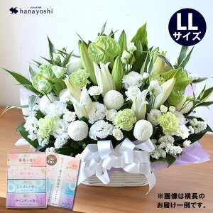 zB     AWg LLTCY4  Ԃ̃Zbg  Zbg   蕨 t[AWg @  d   O