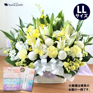zB     AWg LLTCY4  Ԃ̃Zbg  Zbg   蕨 t[AWg @  d   O