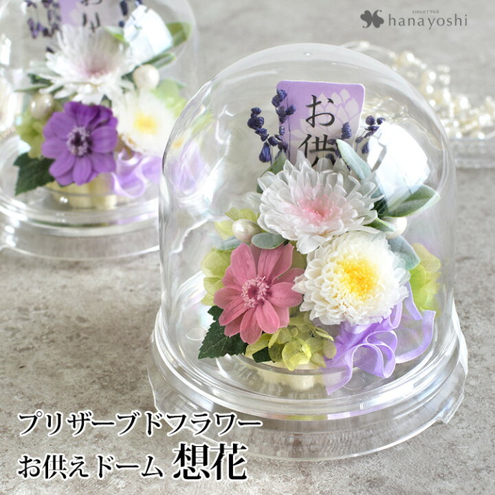楽天市場 あす楽14時まで受付 送料無料 お供え 仏花 プリザーブドフラワー お供えドーム 想花 クリアドーム 仏壇 お供え用アレンジメント お悔やみ 花 御供 お彼岸 お盆 お供え 花 贈り物 ブリザードフラワー お供え花 法事 お供え物 一周忌 三回忌 命日 供花 フラワー