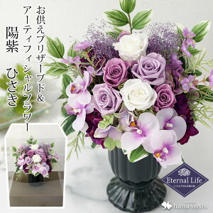   vU[uht[ A[eBtBVt[ Eternal Life uz Ђv d pAWg  ͂Ȃ  蕨 uU[ht[ Mtg @ 