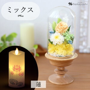 zB   vU[uht[  KXh[ S ͂Ȃ AWg h[ dp d ~jd    Mtg  @  蕨 