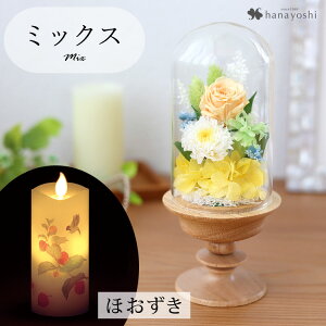 zB   vU[uht[  KXh[ S ͂Ȃ AWg h[ dp d ~jd    Mtg  @  蕨 