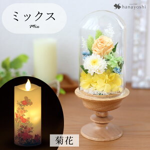 zB   vU[uht[  KXh[ S ͂Ȃ AWg h[ dp d ~jd    Mtg  @  蕨 