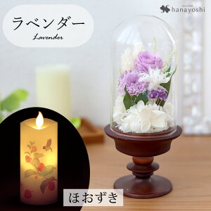 zB   vU[uht[  KXh[ S ͂Ȃ AWg h[ dp d ~jd    Mtg  @  蕨 