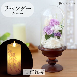 zB   vU[uht[  KXh[ S ͂Ȃ AWg h[ dp d ~jd    Mtg  @  蕨 