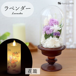 zB   vU[uht[  KXh[ S ͂Ȃ AWg h[ dp d ~jd    Mtg  @  蕨 