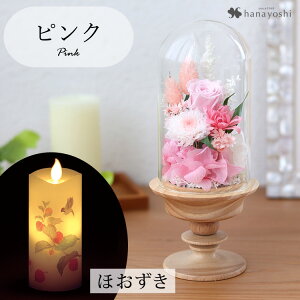 zB   vU[uht[  KXh[ S ͂Ȃ AWg h[ dp d ~jd    Mtg  @  蕨 