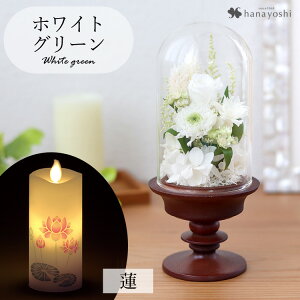 zB   vU[uht[  KXh[ S ͂Ȃ AWg h[ dp d ~jd    Mtg  @  蕨 