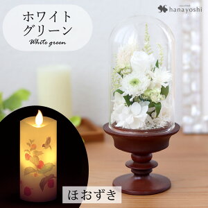 zB   vU[uht[  KXh[ S ͂Ȃ AWg h[ dp d ~jd    Mtg  @  蕨 