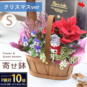 yyVSSGg[P10{zŒZ G߂̂܂ Ԕ  O[  񂹓 STCY t[oXPbg  A A A Mtg   a a v[g 