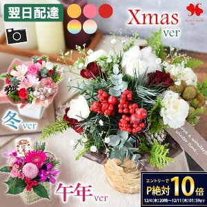 yyVSSGg[P10{zzB  AWg a G߂̂܂ ԃAW [b^AW t[ AWg AW v[g Mtg  a 