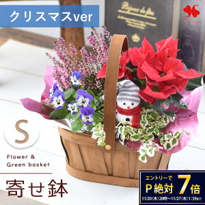 yŒZzB 14Yz G߂̂܂ Ԕ  O[  񂹓 STCY t[oXPbg  A A A Mtg   a a v[g   c 