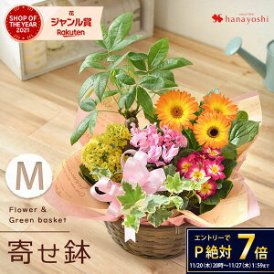 yŒZzB 14Yz G߂̂܂ ԔƃO[ ̊񂹓 MTCY t[oXPbg A  ϗtA t[Mtg a  Mtg  a v[g  