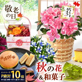 【SSxエントリーでポイント10倍】 敬老の日 花 スイーツ セット 選べる 15通り 敬老の日ギフト 鉢植え 花とお菓子 花とスイーツ プレゼント ギフト お菓子 りんどう 和菓子 抹茶 鉢花 花鉢 お花 敬老の日ギフト 敬老の日限定 プリザーブドフラワー 2026