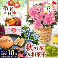 【早割◎9/7まで】SSxエントリーでポイント10倍！ 敬老の日 花 スイーツ セット 選べる 15通り 敬老の日…