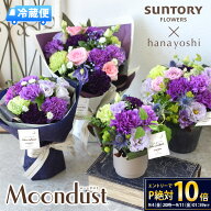 [冷蔵便]でお届け 翌日配達 花言葉は「永遠の幸福」 Moondust ムーンダスト カーネーション 選べる 花瓶…