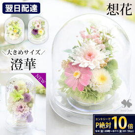 翌日配達 仏花 プリザーブドフラワー 仏壇用 お供え 花 枯れない ドーム 「想花・慈音」 供花 アレンジメント 四十九日法要 お供え花 お悔やみ お悔やみ花 ブリザードフラワー 法事 お供え物 命日 一周忌 三回忌 四十九日 ミニ 仏壇 贈り物 ペット お彼岸