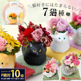 翌日配達 プリザーブドフラワー 「くつろぎねこ」 7種 ねこ 猫 花 ネコ スイーツセット 誕生日 プレゼント お祝い お花 枯れない お誕生日 和風 猫好き ギフト 長寿祝い 還暦 古希 喜寿 贈り物 動物 アニマル ペット 黒 白 三毛 アメショ 退職祝い お祝い
