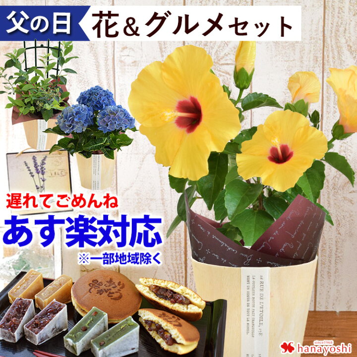楽天市場 あす楽対応 遅れてごめんね 父の日 花 スイーツ お菓子 食べ物 ギフトひまわり か アジサイ か ハイビスカス か ブルーベリー 鉢植え 選べる3種類 和菓子巾着 お蕎麦 コットンタオル から選べるセット 父の日ギフト 父の日プレゼント ヒマワリ 花束