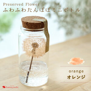 zB ӂӂ ۂ ~j{g hCt[ ͂Ȃ KX RN{g ^|| p 3ȏő1zɌ遄 a   Mtg  j 