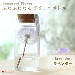 zB ӂӂ ۂ ~j{g hCt[ ͂Ȃ KX RN{g ^|| p 3ȏő1zɌ遄 a   Mtg  j 