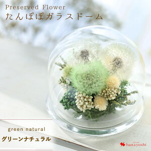 yŒZzB 14Yz ^||  KXh[ hCt[ vU[uht[ v[g ۂ p a ͂Ȃ ̓ 蕨   Mtg  j