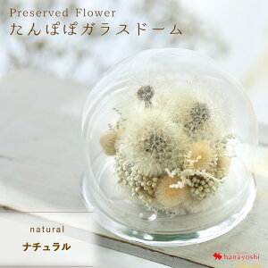 yŒZzB 14Yz ^||  KXh[ hCt[ vU[uht[ v[g ۂ p a ͂Ȃ ̓ 蕨   Mtg  j