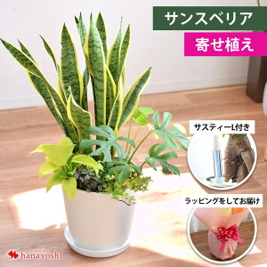 IׂϗtA 6 Xe TXxA Xg`A hZiĂ₷ CeA O[ ϗtA TXeB[  A a v[g  FB j Fl j