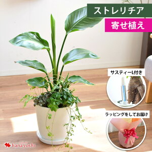 IׂϗtA 6 Xe TXxA Xg`A hZiĂ₷ CeA O[ ϗtA TXeB[  A a v[g  FB j Fl j