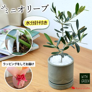 I[u̖ A 픫 󂯎MtI[u ϗtA Iׂ锫 CeA Mtg  A zj j JƏj Nj j LO a v[g  F