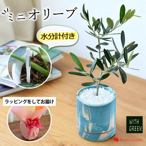 I[u̖ A 픫 󂯎MtI[u ϗtA Iׂ锫 CeA Mtg  A zj j JƏj Nj j LO a v[g  F