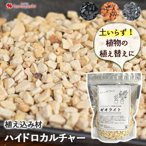 nChJ`[ Aݍ Aւ ޑIׂ [ICg eR ؒY  ϗtA CeA O[ A p  