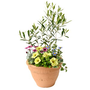 I[u  Iׂ fUC^Cv A I[u̖ I[u V{c[ ϗtA  Mtg   GgX A zj Vzj j J N LO 