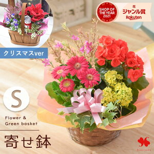 yŒZzB 14Yz G߂̂܂ Ԕ  O[  񂹓 STCY t[oXPbg  A A A Mtg   a a v[g   c 