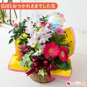 yŒZzB 14Yz G߂̂܂ Ԕ  O[  񂹓 STCY t[oXPbg  A A A Mtg   a a v[g   c 