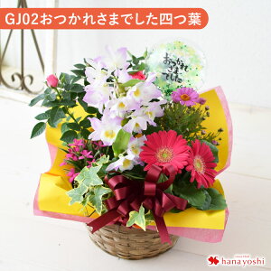 yŒZzB 14Yz G߂̂܂ Ԕ  O[  񂹓 STCY t[oXPbg  A A A Mtg   a a v[g   c 