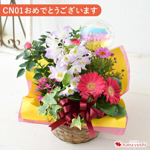 yŒZzB 14Yz G߂̂܂ Ԕ  O[  񂹓 STCY t[oXPbg  A A A Mtg   a a v[g   c 