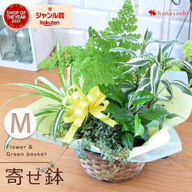 【最短★翌日配達 12時〆】 季節のおまかせ 花鉢とグリーン の寄せ入れ Mサイズ フラワーバスケット 鉢植え 鉢花 観葉植物 フラワーギフト お誕生日 お花 ギフト 花 誕生日 プレゼント 女性 お祝い おしゃれ 新築祝い 開店祝い 退職祝い 母 祖母 お中元 夏 男性 土日も発送